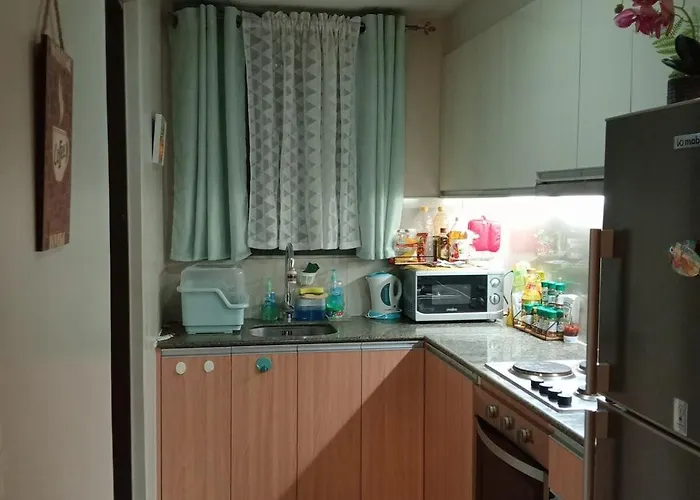 Apartment 3 Brooms 3 Baths Cozy Condo, One Manchester Place *