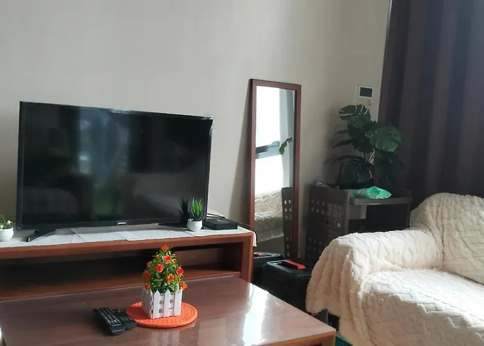 3 Brooms 3 Baths Cozy Condo, One Manchester Place Apartment *