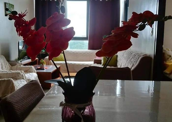 Apartment 3 Brooms 3 Baths Cozy Condo, One Manchester Place *